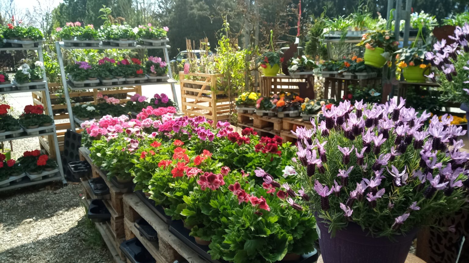 39+ Garten Schlegel, Rufen sie die öffnungszeiten von gartencenter
