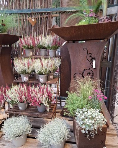 6f164d6f-d62e-4126-a930-4b38194302ce