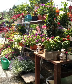 IMG_20220520_123444_468