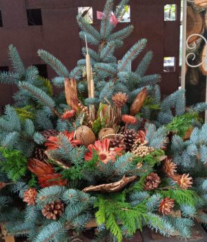 IMG_20221019_121353_966