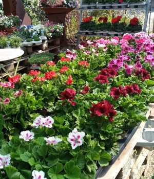 IMG_20230421_143344_414