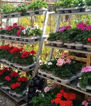 IMG_20230421_143403_847