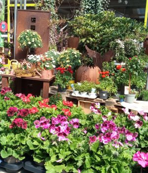 IMG_20230421_143406_722