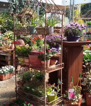 IMG_20230421_143458_801