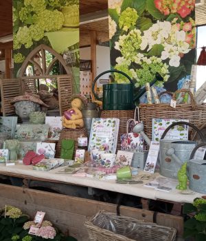 IMG_20230421_143814_706