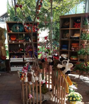 IMG_20230421_143821_994